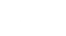 bingologga