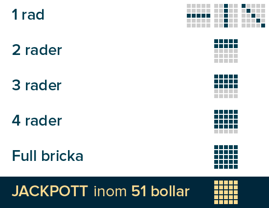 Miljonlotteriets bingospel Stjärnjacken