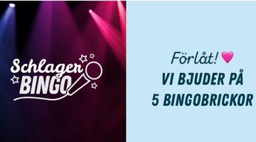 fria brickor bloggen