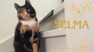 Selma Miljonlotteriet