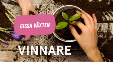 växt och jord och vinnare