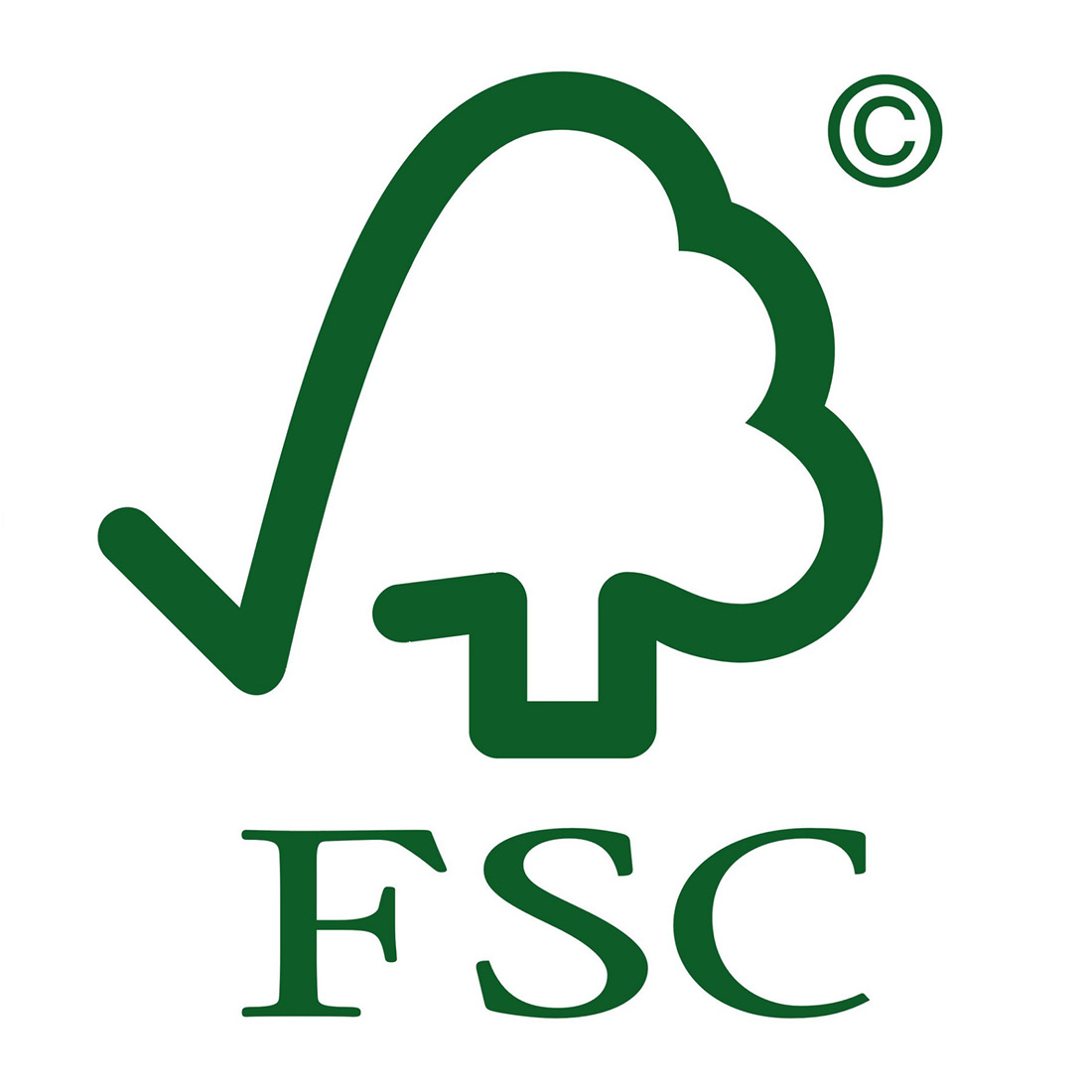 Logga hållbarhet FCE