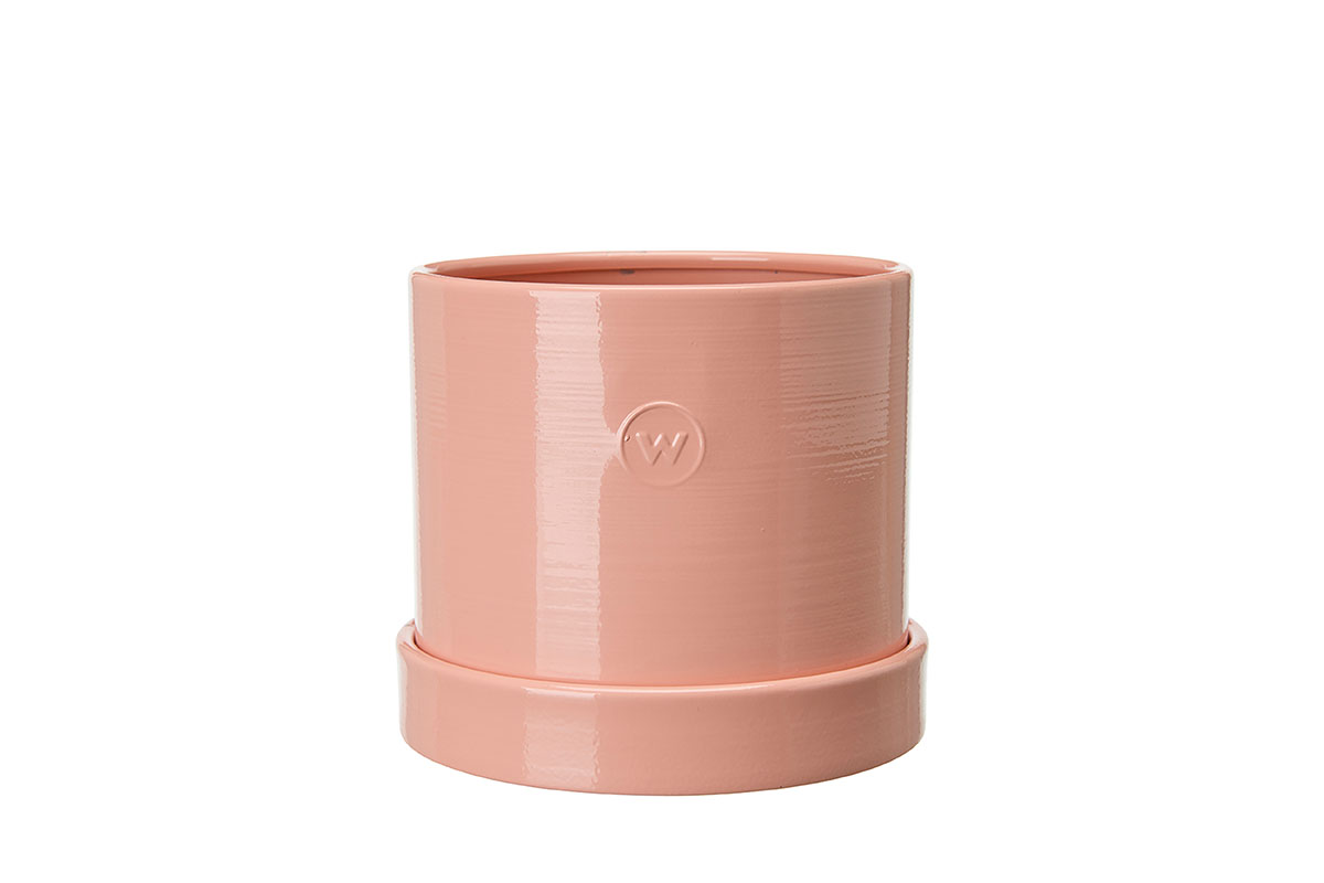 Miljonlotteriet vinster rosa kruka