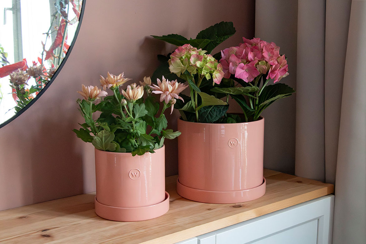 Miljonlotteriet vinster rosa kruka