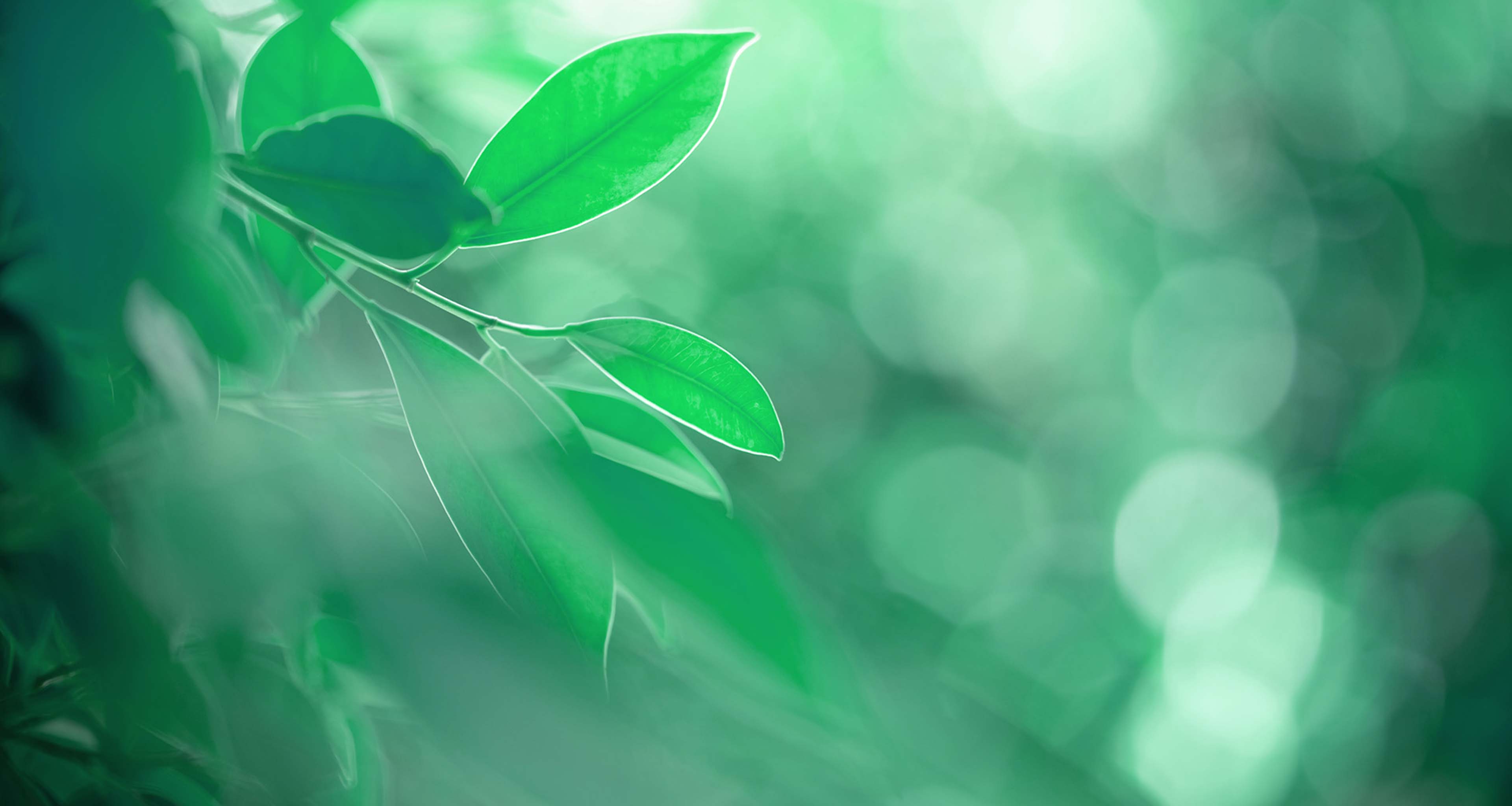 miljonlotteriet vårbingo