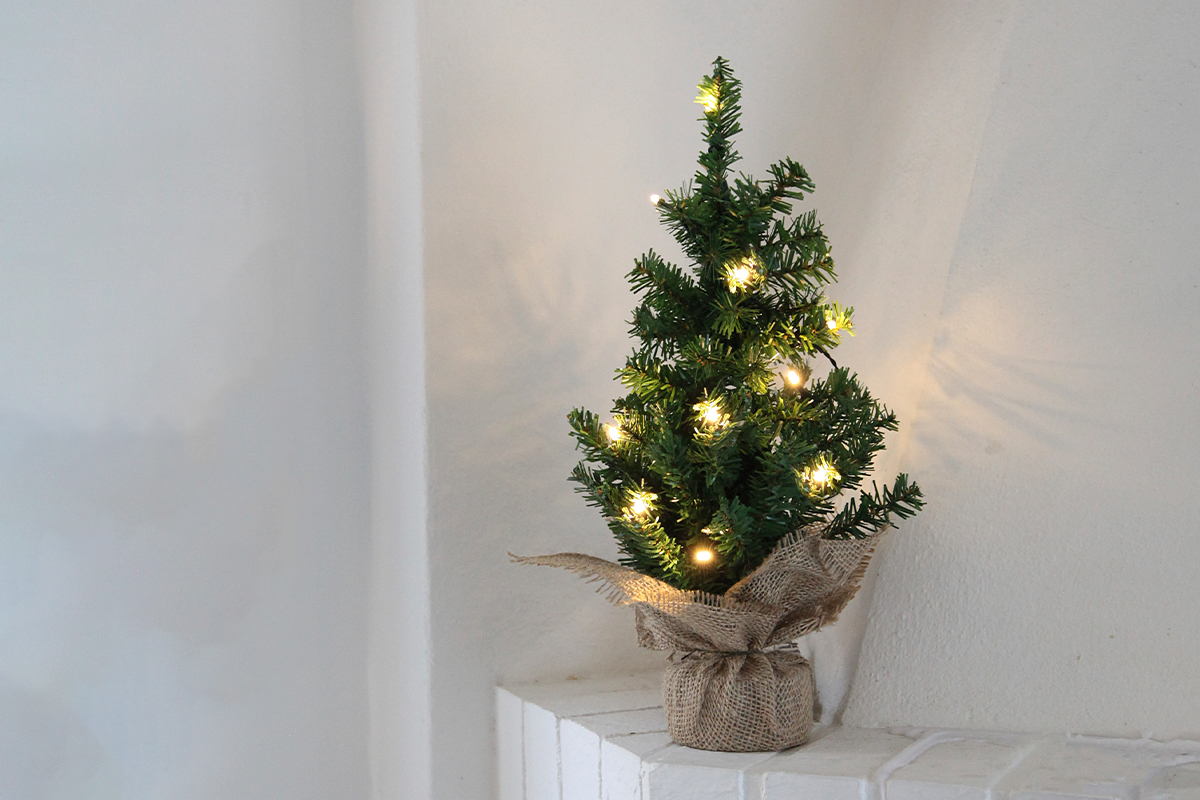 Hos mijlonlotteriet kan du vinna en julgran från star trading