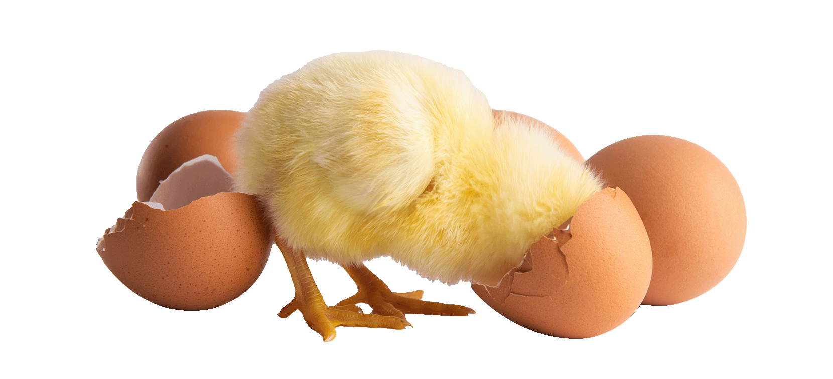 miljonlotteriet påskkalender