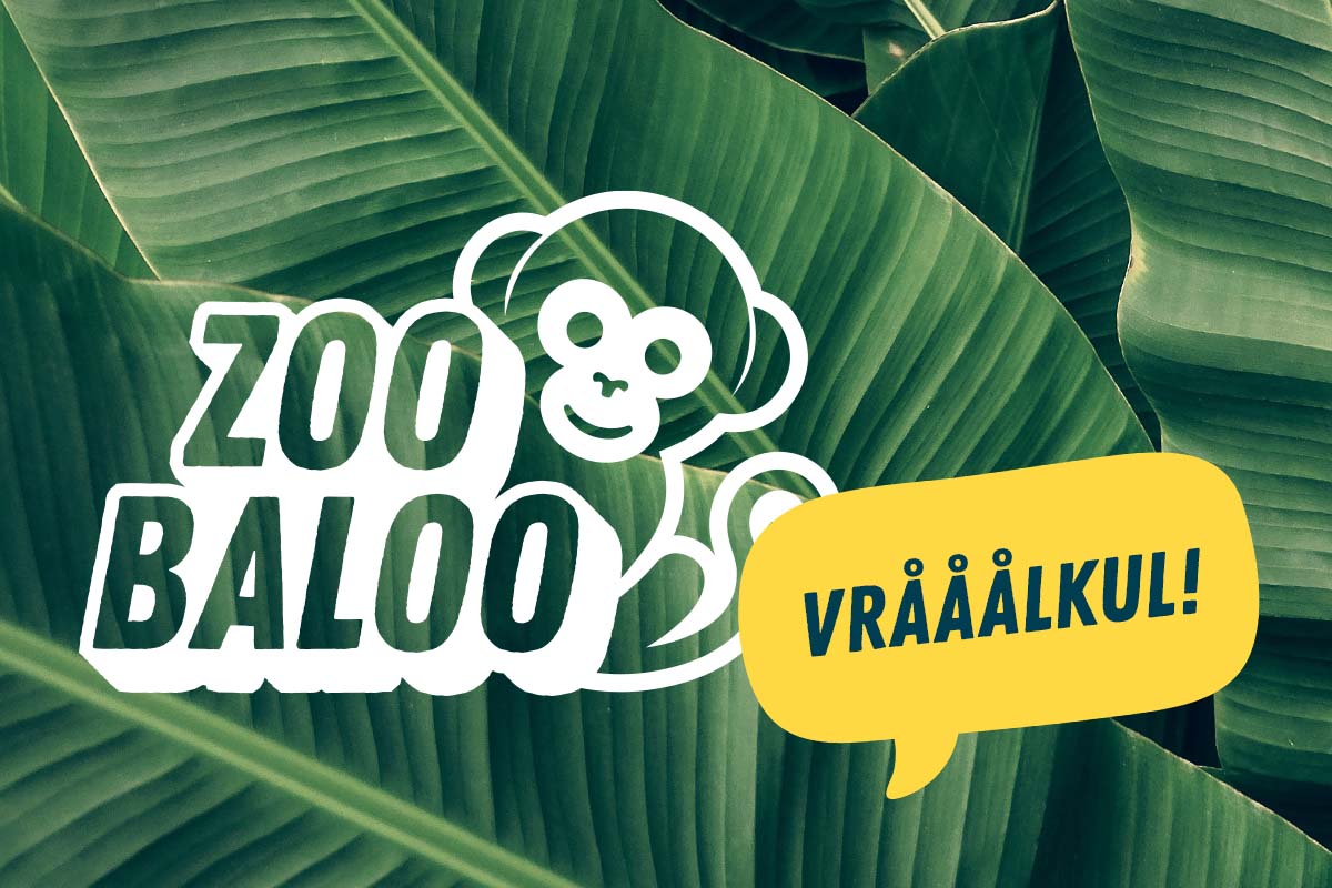 Miljonlotteriet zoo baloo