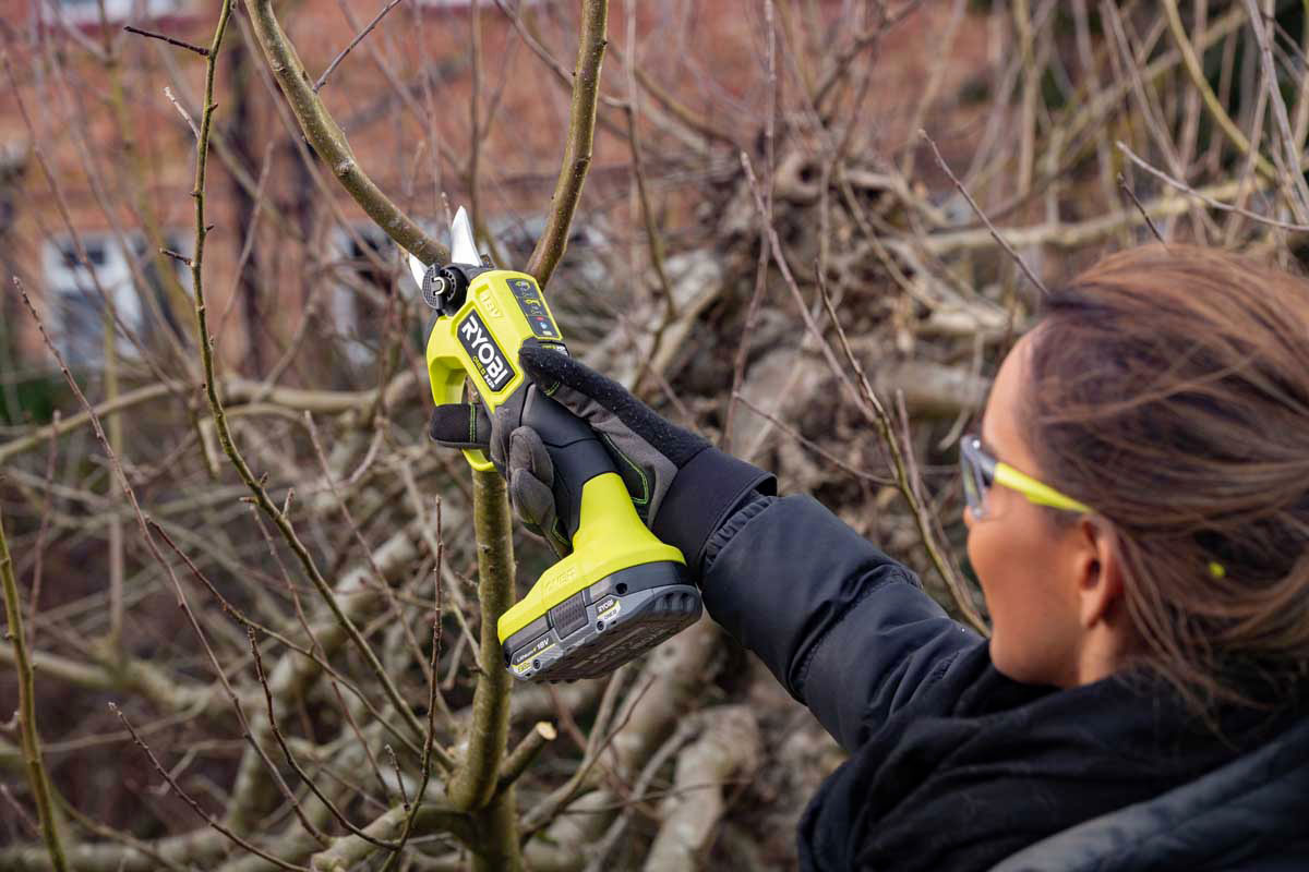 miljonlotteriet ryobi sekatör