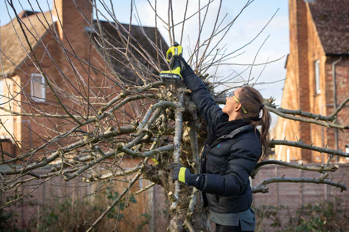 miljonlotteriet ryobi sekatör
