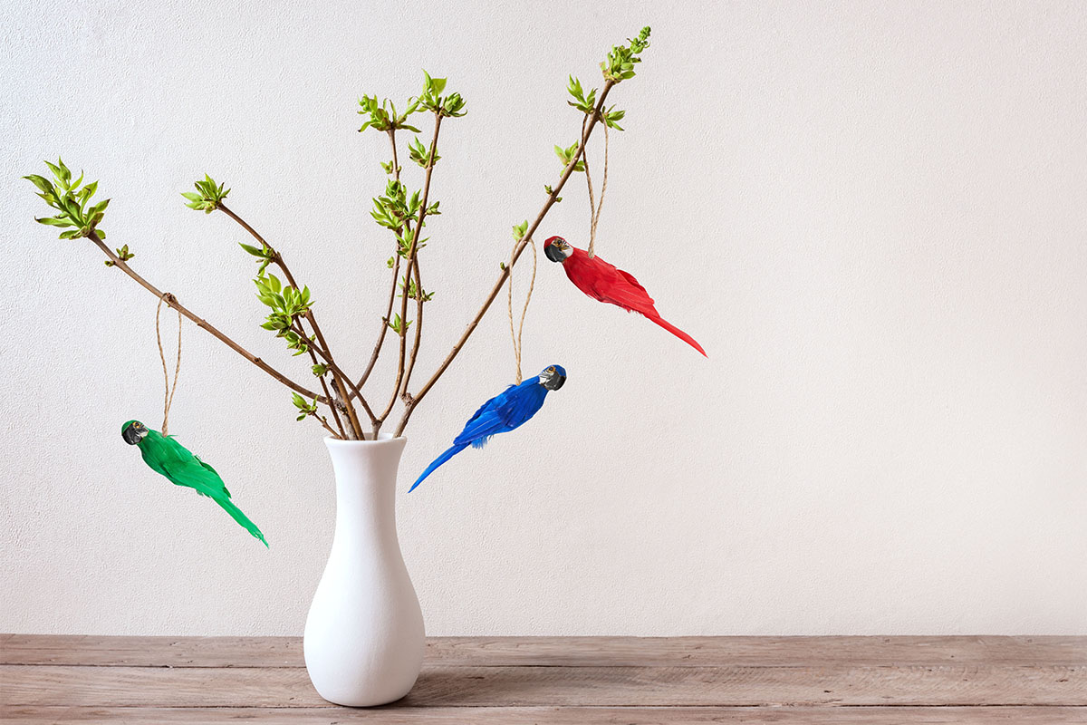 miljonlotteriet jippi papegoja