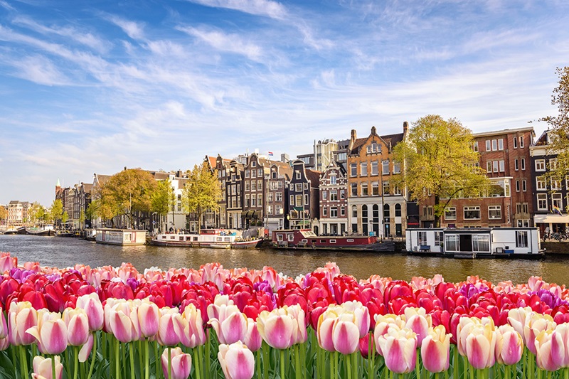Hos Miljonlotteriet kan du vinna en resa till vackra blomsterstaden Amsterdam