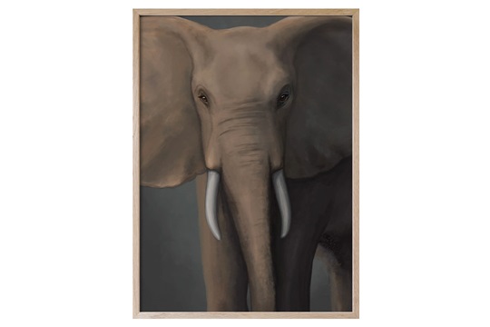 Hos Miljonlotteriet kan du vinna affischen Afrikanska skogselefanten från Kunskapstavlan